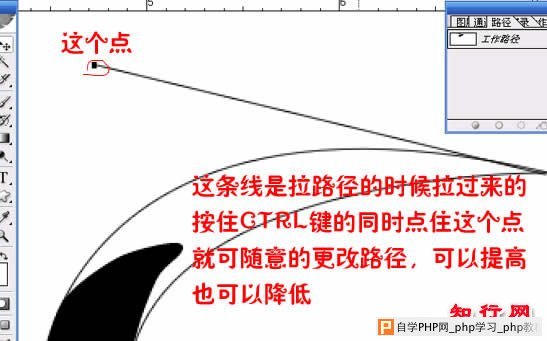 巧用Ps路径工具做变体流线字 - 沧海阿哥 - .