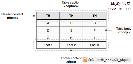 重新认识table