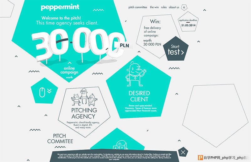 Peppermint in Best Creative Website Designs of 2014