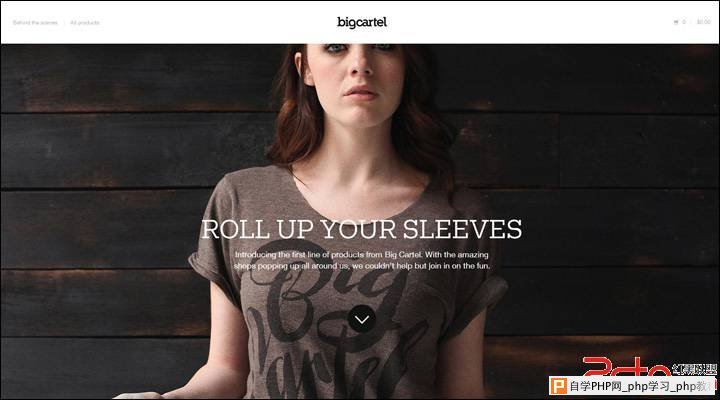 damndigital_21-inspiring-examples-of-big-images-in-web-design_big-cartel-shop