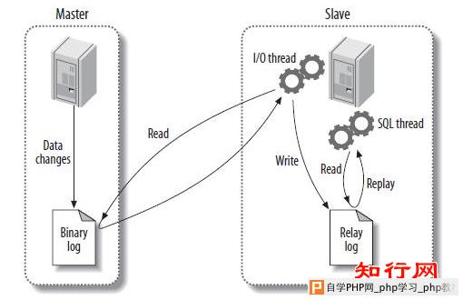 MySQL复制