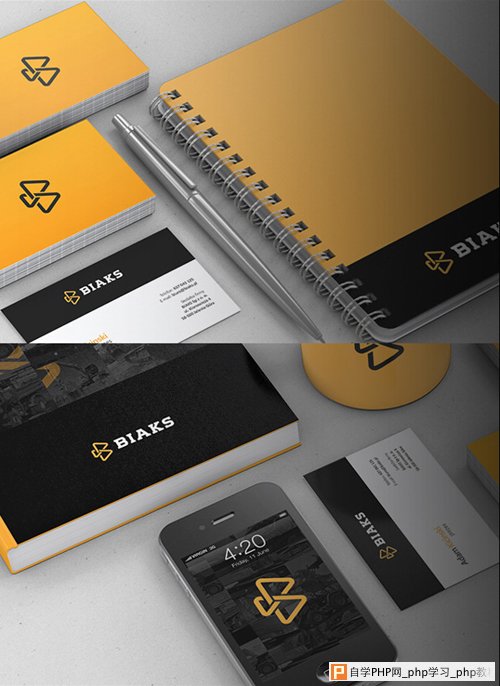 BIAKS Branding letterhead