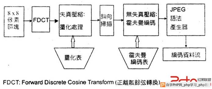 正离散余弦转换