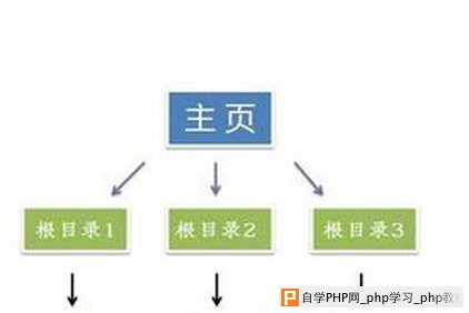 企业网站栏目