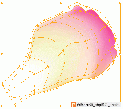 Illustrator网格工具绘制逼真花瓣 脚本之家 AI实例教程